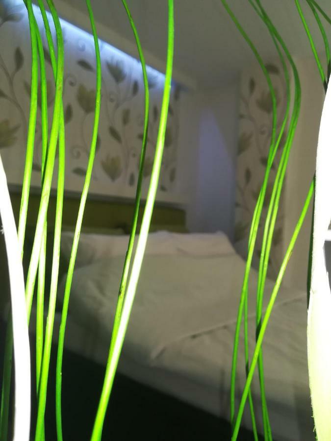 Classy And Cozy - Parking - 3 Beds - Near Center ノヴィ・サド エクステリア 写真
